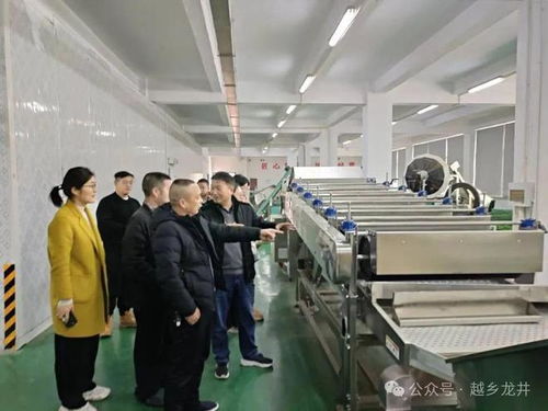 俞燎遠研究員深入嵊州調研，為茶產業(yè)技術推廣與升級把脈開方