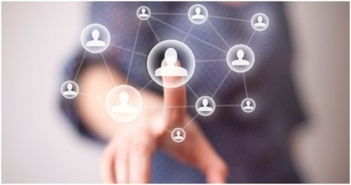 致互聯(lián)網(wǎng)人 深入解析網(wǎng)絡(luò)技術(shù)開發(fā)職位架構(gòu)與職能要求